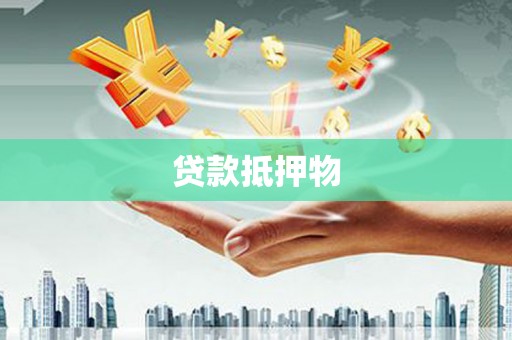 华县贷款抵押物