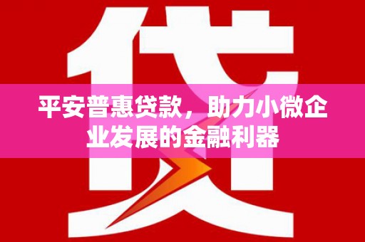 华县平安普惠贷款，助力小微企业发展的金融利器